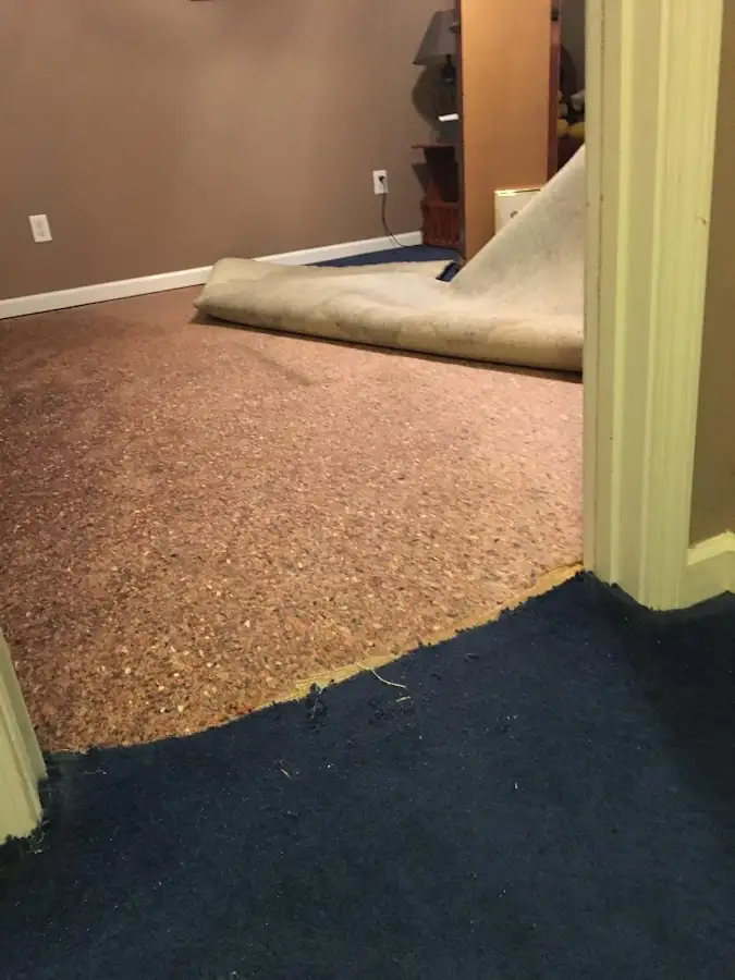 Carpet pad removal revealing water damage during Drying & Dehumidification in Seymour