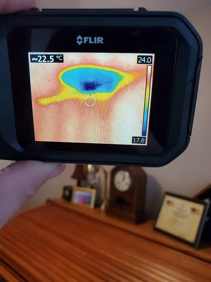 Thermal imaging inspection for water damage in Seymour